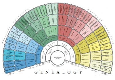 Fan chart preview