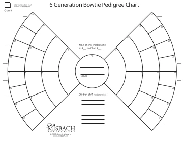 6 Generation Bow Tie preview