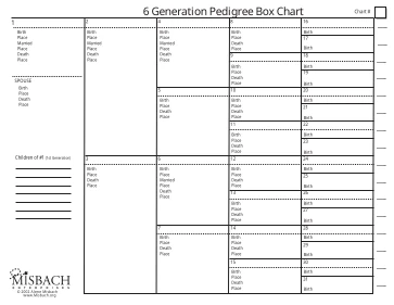 6 Generation Box Chart preview