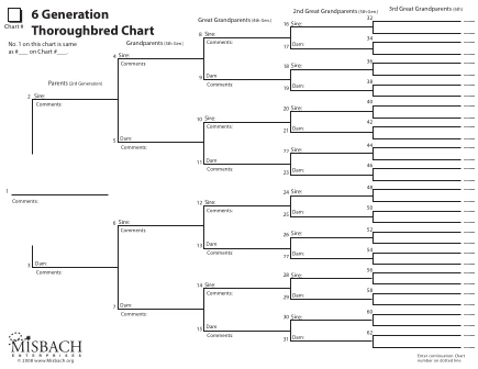6 Generation Horse Thoroughbred preview
